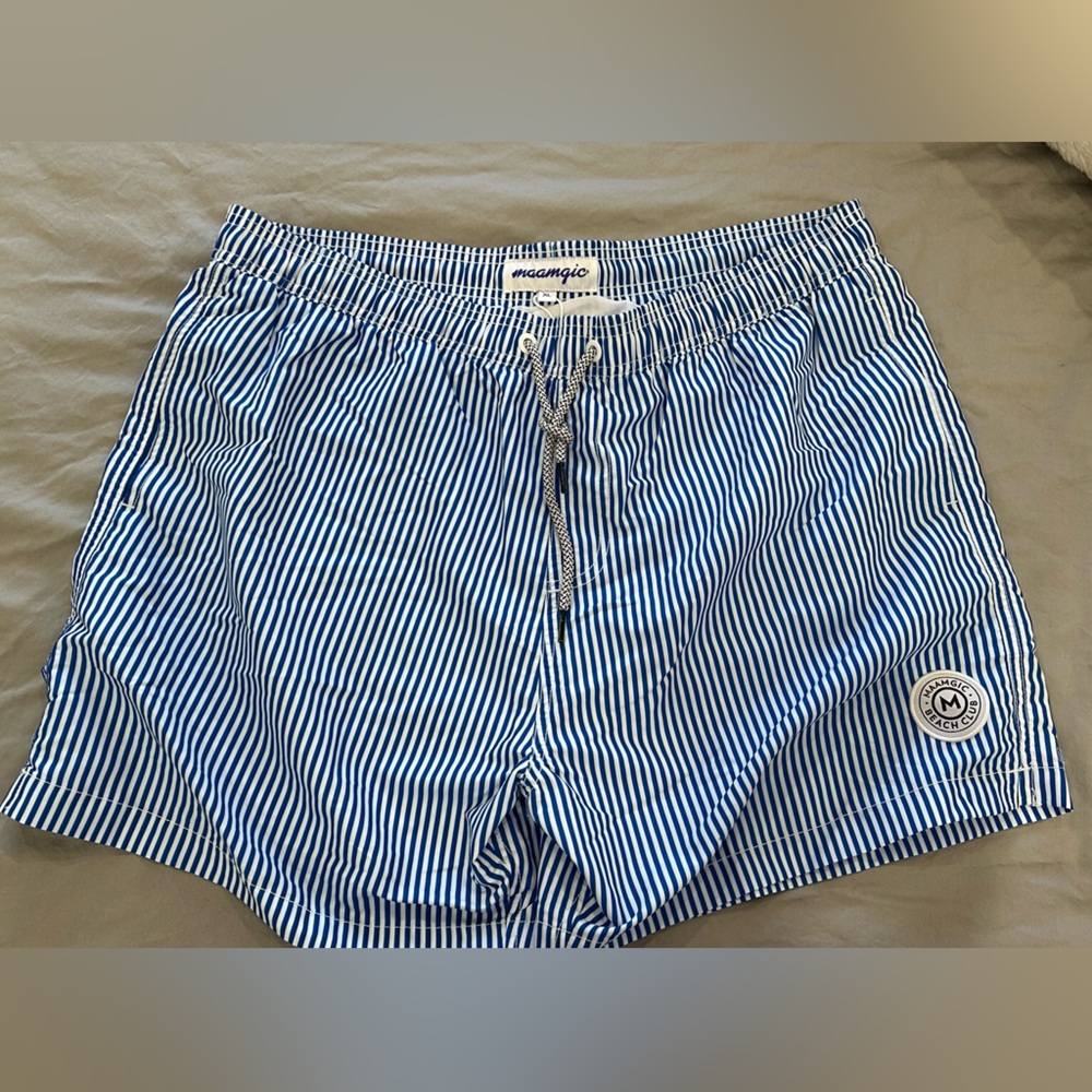 Blue and White Striped Swim Shorts